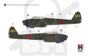 Hobby 2000 72085 Nakajima J1N1-S Gekko Late version 1:72 model samolotu