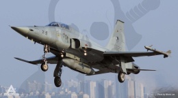 Academy 12644 ROKAF KF-5E Tiger II (Northrop F-5E Tiger II) 1:144