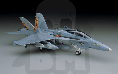 Hasegawa D08 F/A-18D Hornet 1:72