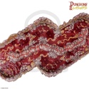Archon DNL0147 Carnage Tract: Pre-Painted tereny do gier bitewnych i RPG