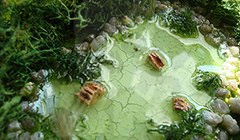 Vallejo 26235 Diorama FX - Water Textures - Still Water 35 ml