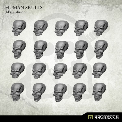Human Skulls - 20 szt. czaszki