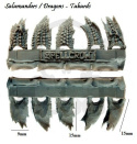 Rycerze Salamandry / Smoki przepaski biodrowe 10 szt. Dragons - Tabards