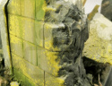 Vallejo 73827 Weathering FX - Environment - Moss and Lichen Effect (40 ml)
