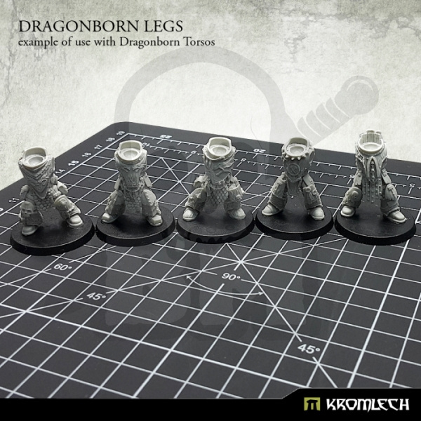 Dragonborn Legs (5)