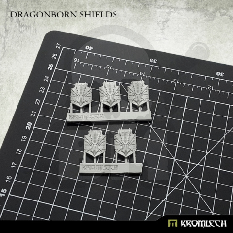 Dragonborn Shields - 5 szt.