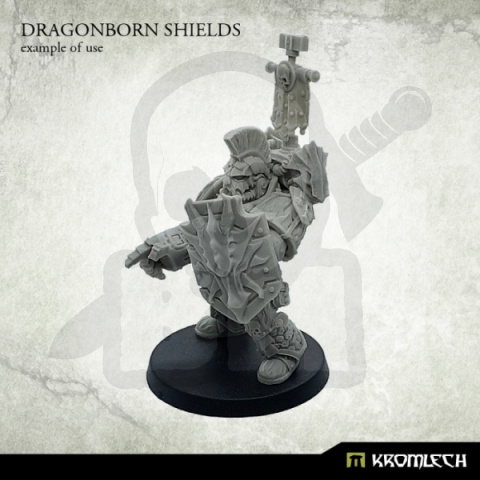 Dragonborn Shields - 5 szt.