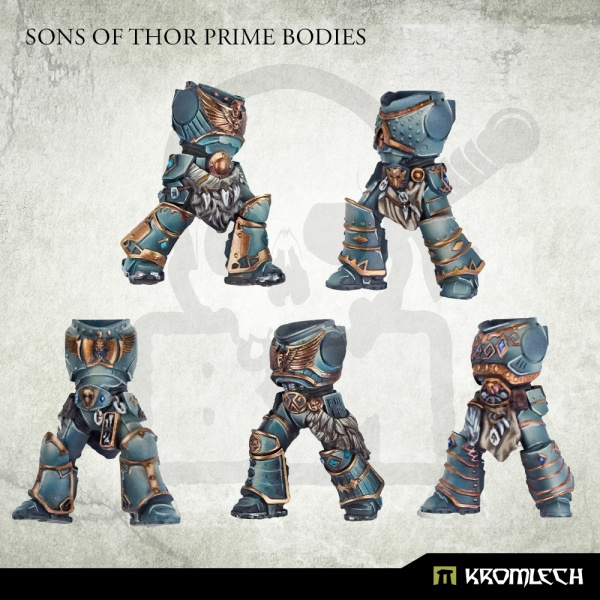 Sons of Thor Prime Bodies
