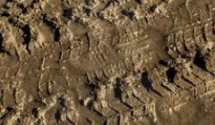 Vallejo 26219 Diorama Effects 200 ml Brown Earth