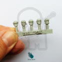 Desert Guards Heads v.2 - głowy 10 szt. Guard