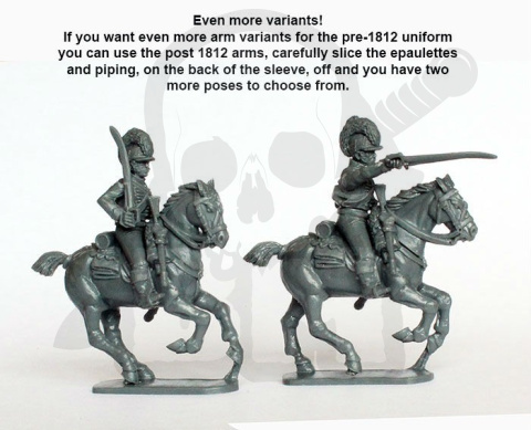 Napoleonic British Light Dragoons 1808-15 14 szt.