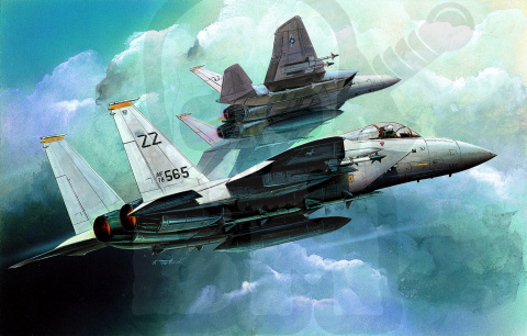 Academy 12609 F-15 Eagle 1:144