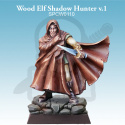 Wood Elf Shadow Hunter v.1