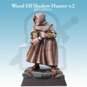 Wood Elf Shadow Hunter v.2